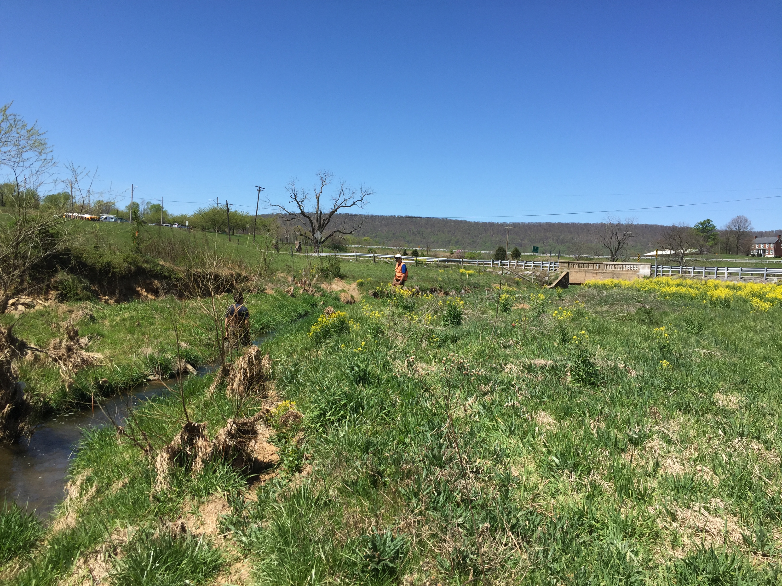 Field photo showing stream conditions at site PRFR-204-X-2016_midpoint downstream